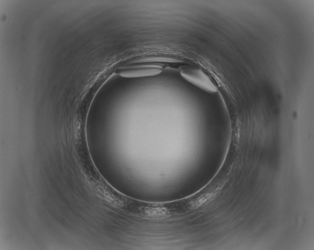 X0000083610355200702121121