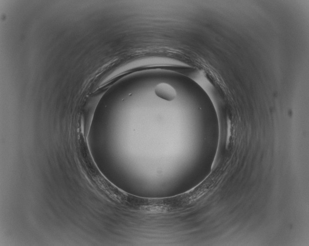 X0000083610356200702121121