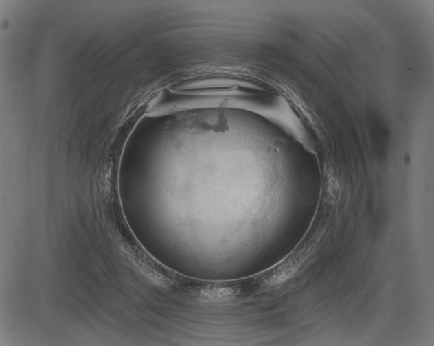 X0000083610357200702121121