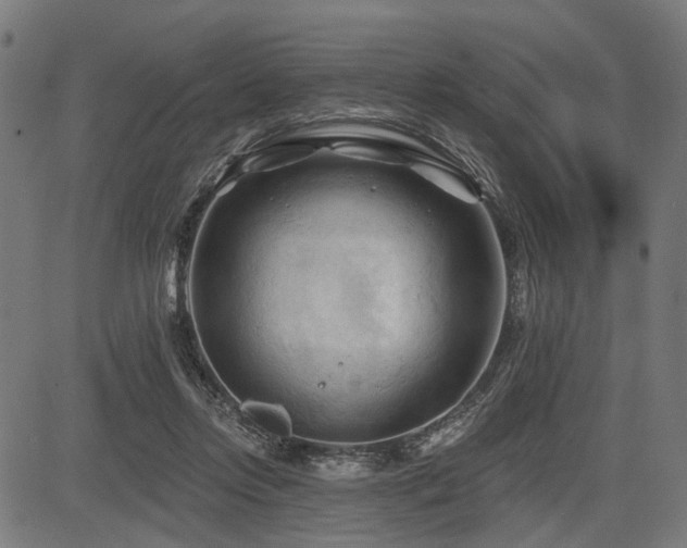 X0000083610358200702121121