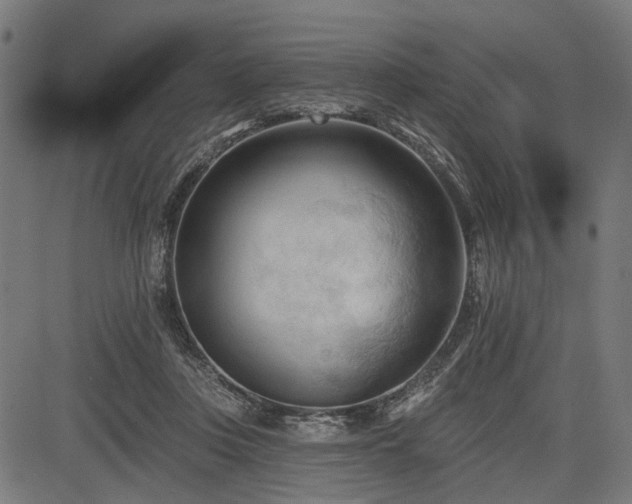 X0000083610359200702121121