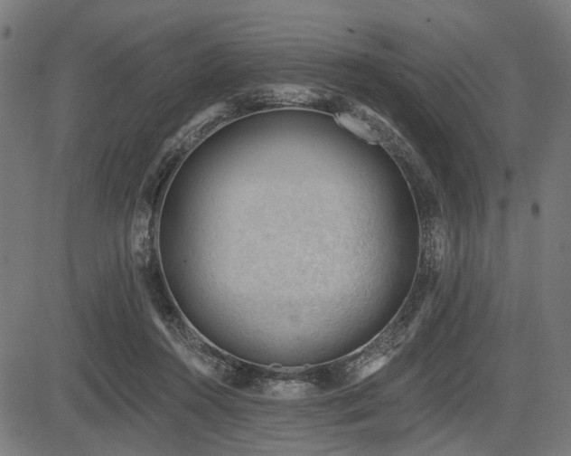 X0000083610360200702121121