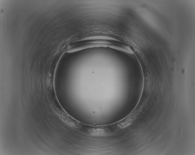 X0000083610361200702121121