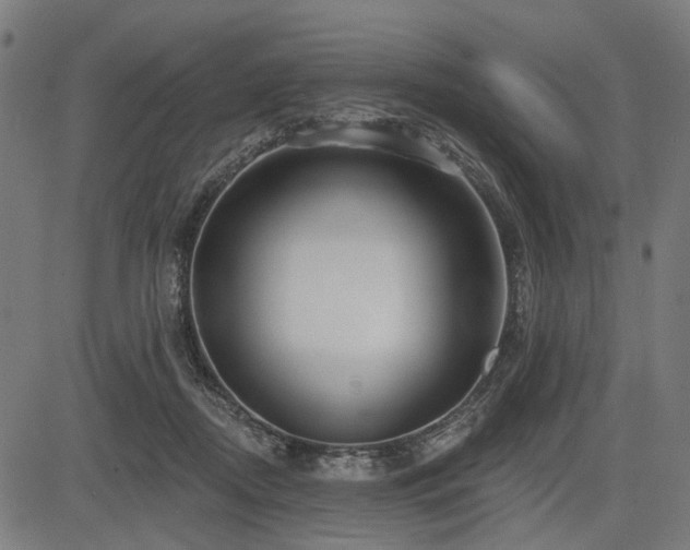 X0000083610362200702121121