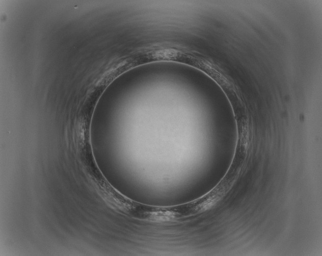 X0000083610363200702121121