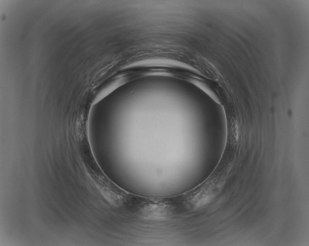 X0000083610364200702121121