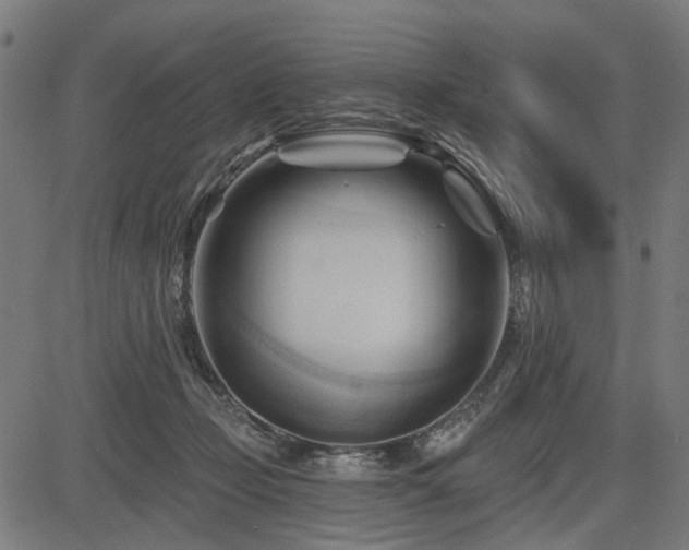 X0000083610365200702121121