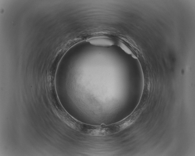 X0000083610366200702121121