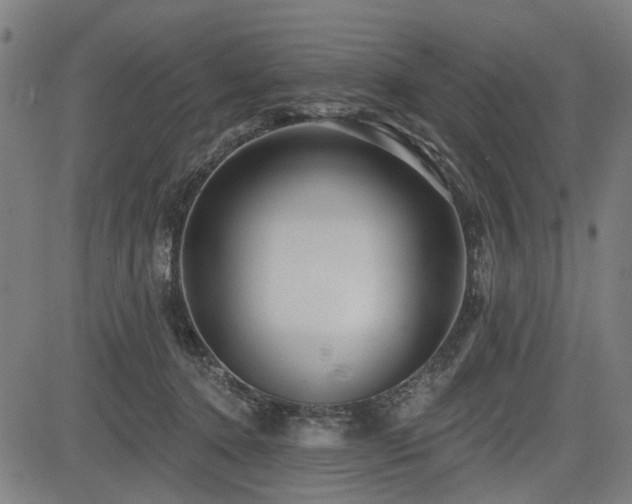 X0000083610368200702121121