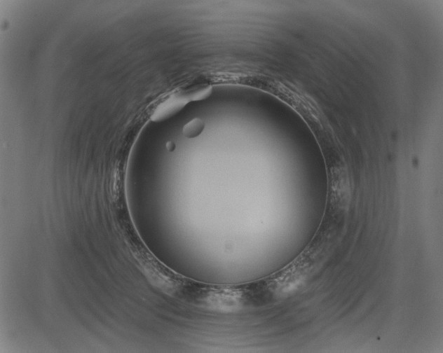 X0000083610369200702121121