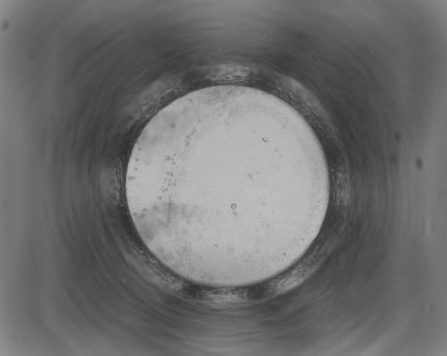 X0000083610370200702121121