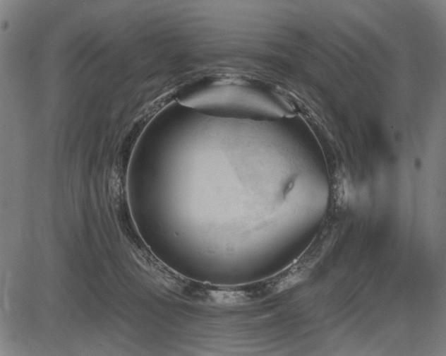 X0000083610371200702121121