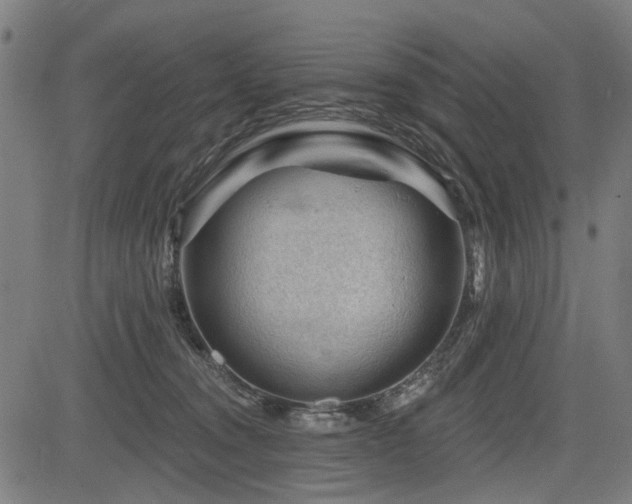 X0000083610372200702121121