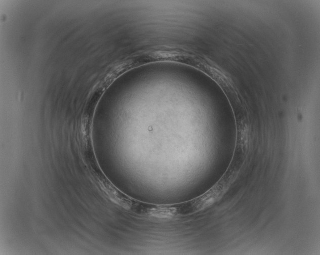 X0000083610373200702121121