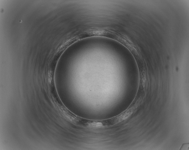 X0000083610374200702121121