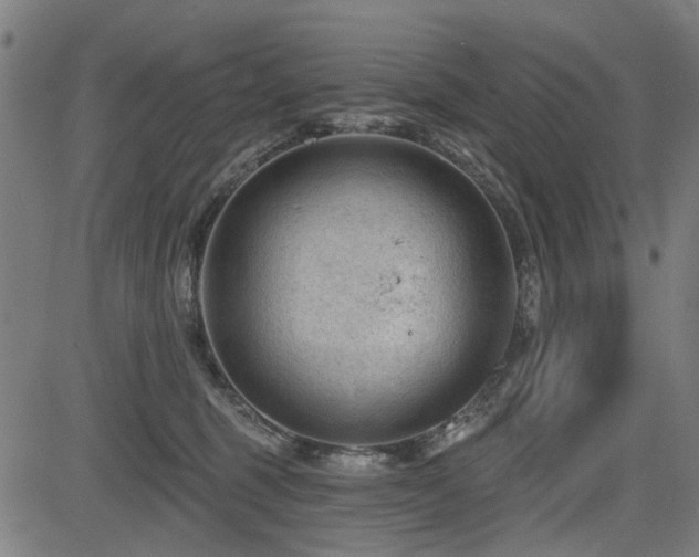 X0000083610375200702121121