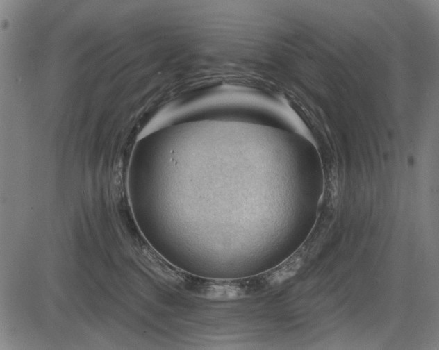 X0000083610376200702121121