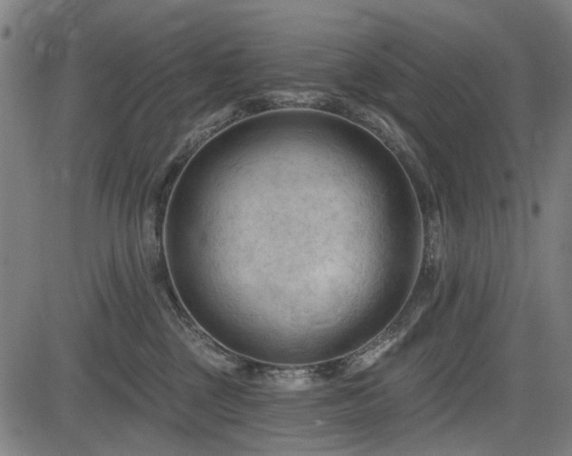 X0000083610377200702121121