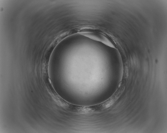 X0000083610379200702121121