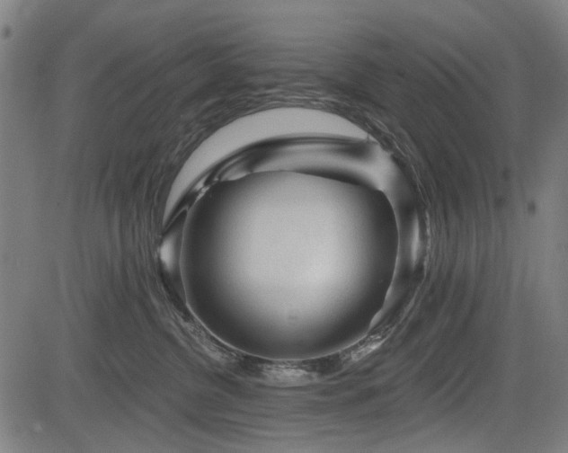 X0000083610380200702121121