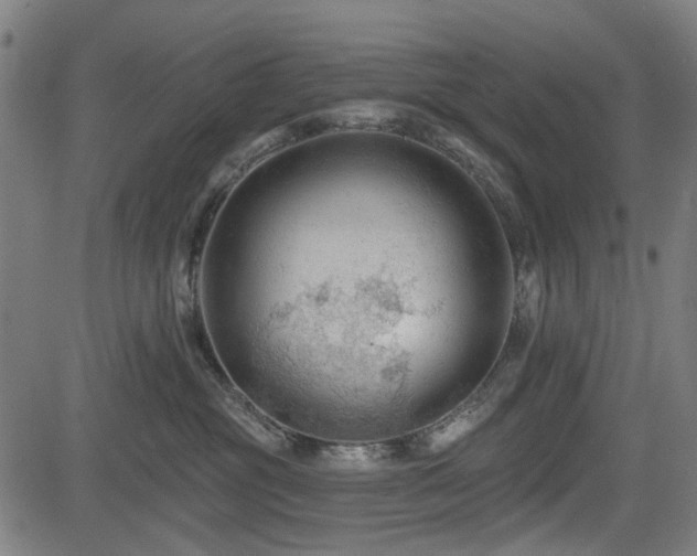 X0000083610381200702121121