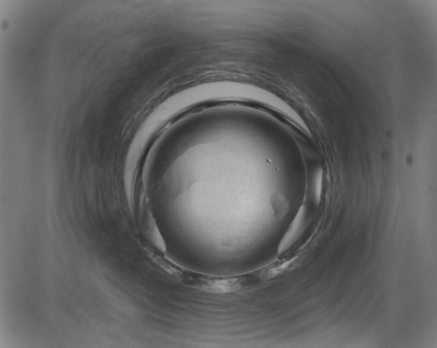 X0000083610382200702121121