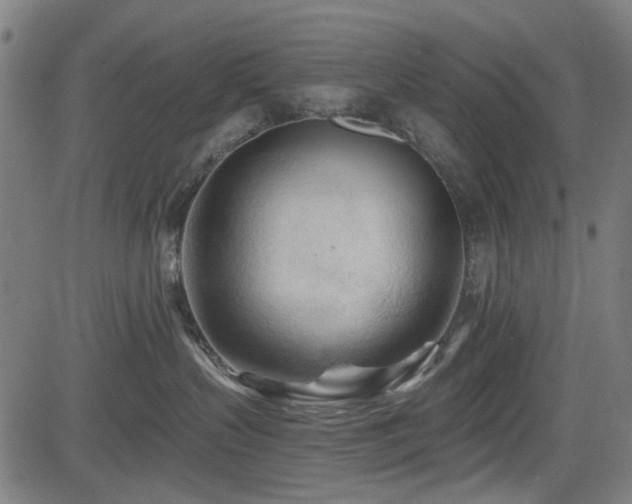 X0000083610383200702121121