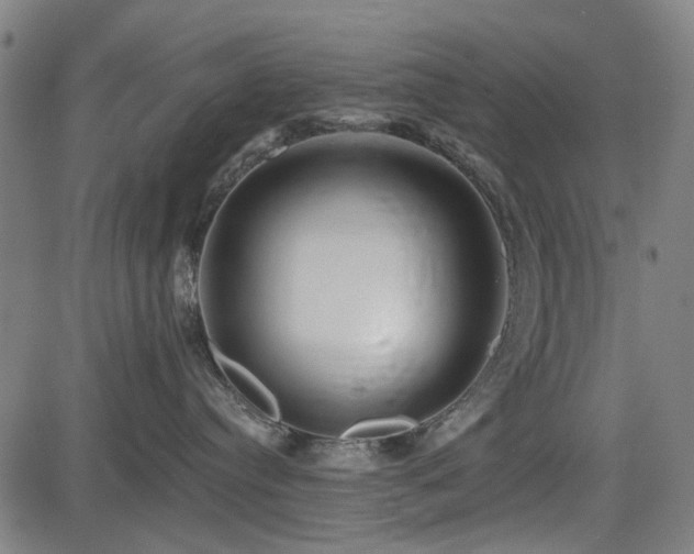 X0000083610384200702121121