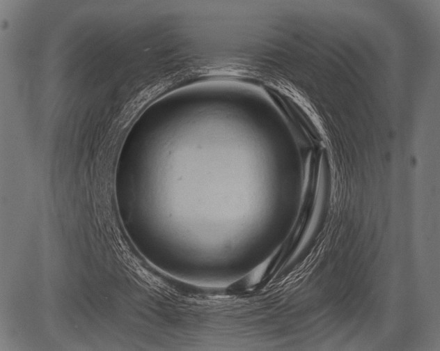 X0000083610385200702121120