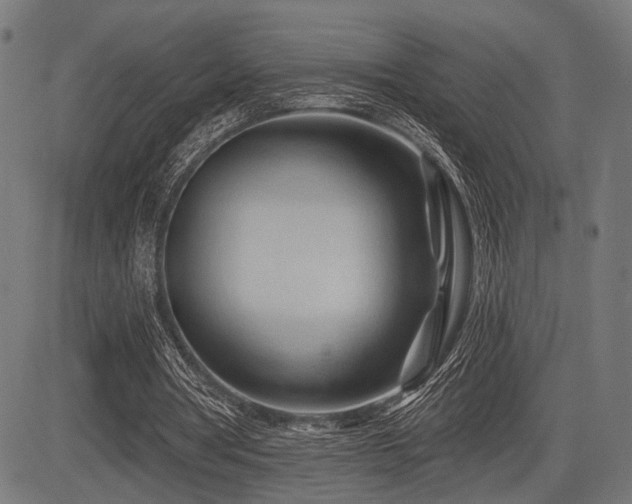 X0000083610386200702121120