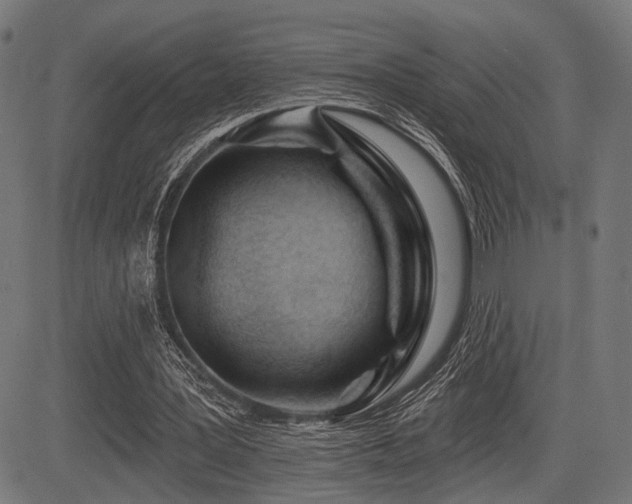 X0000083610387200702121120