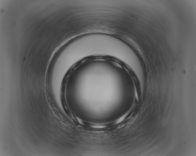 X0000083610388200702121120