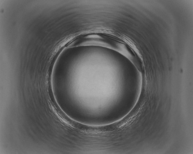 X0000083610389200702121120