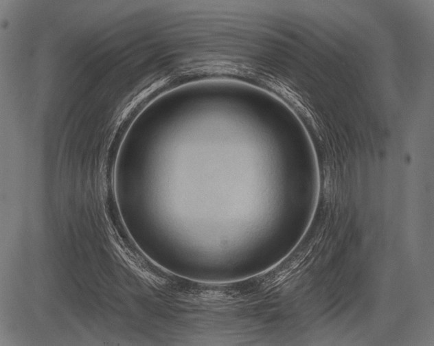 X0000083610390200702121120