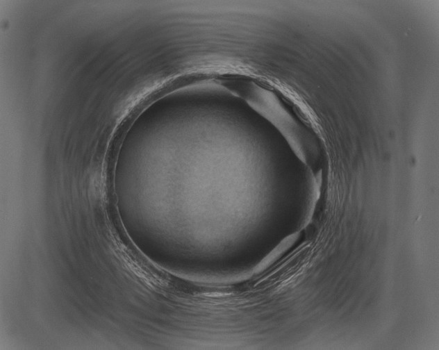 X0000083610391200702121120