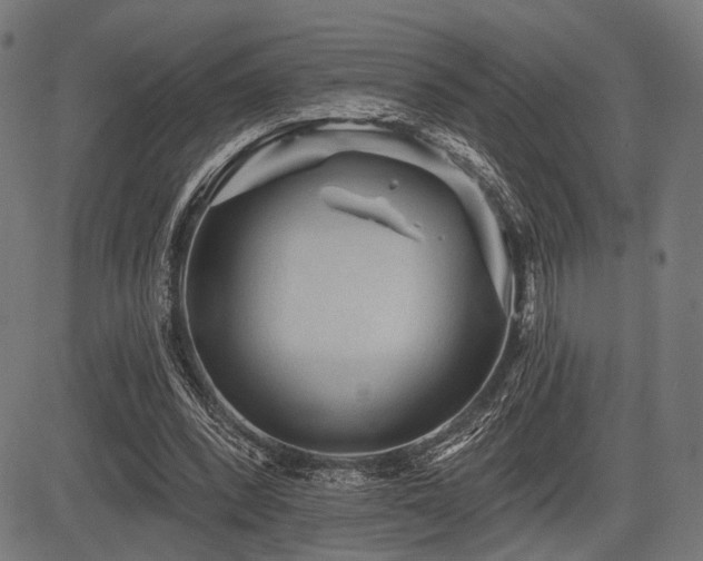 X0000083610392200702121120