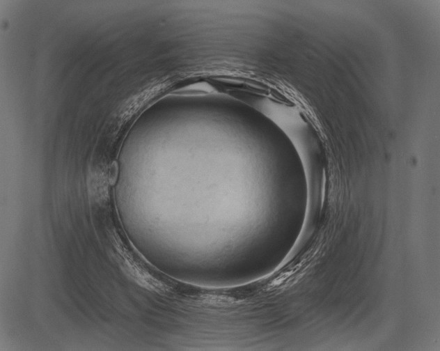 X0000083610393200702121120