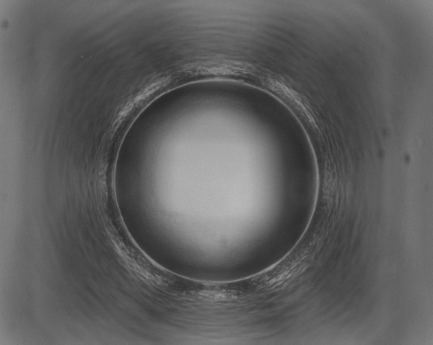 X0000083610394200702121120