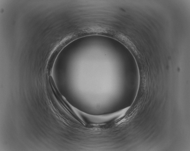 X0000083610395200702121120