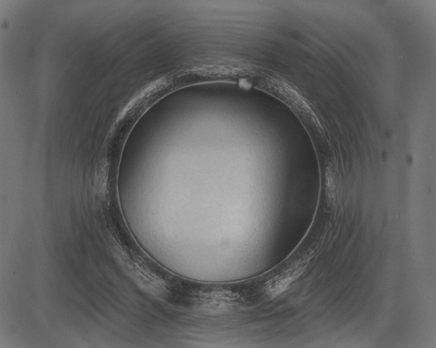 X0000083610396200702121120