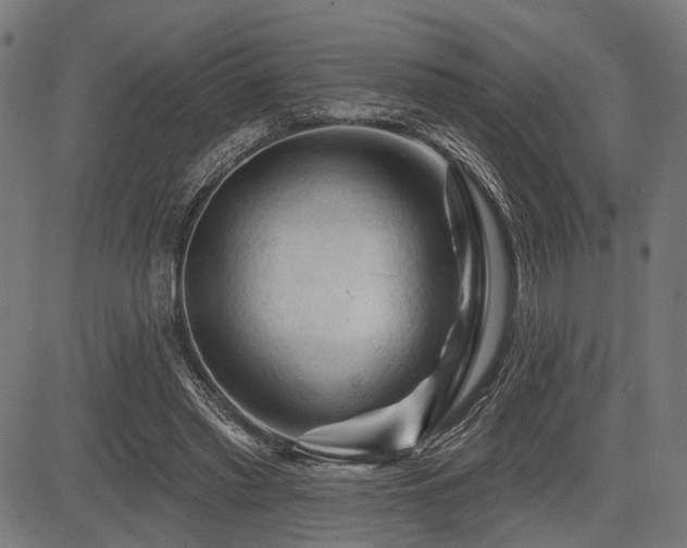 X0000083610397200702121120