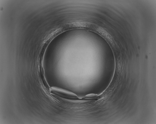 X0000083610398200702121120