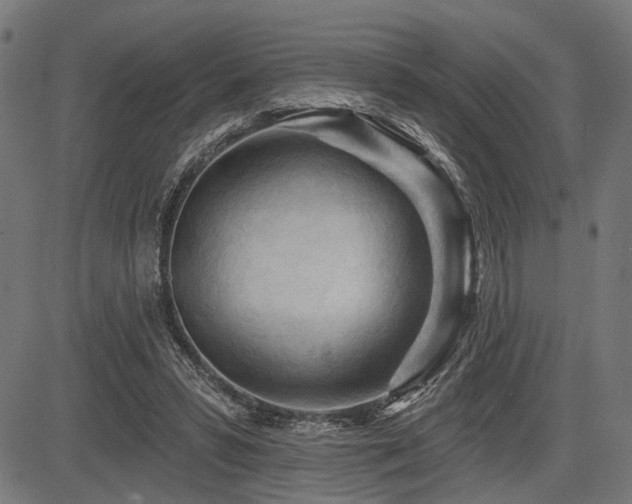 X0000083610399200702121120