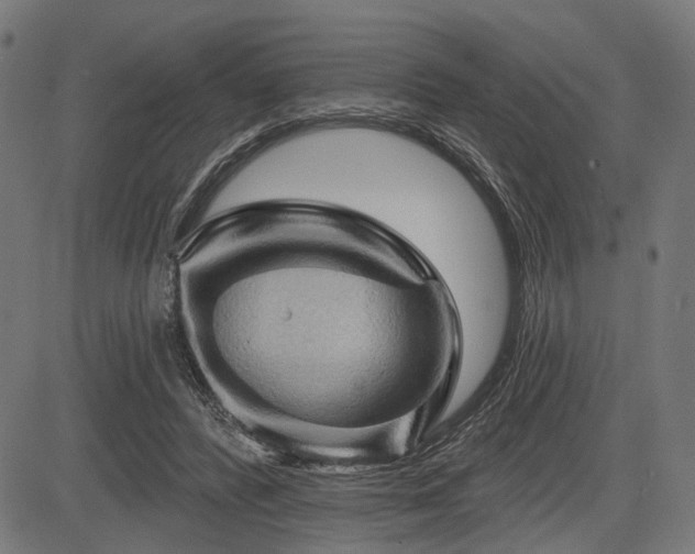 X0000083610400200702121120