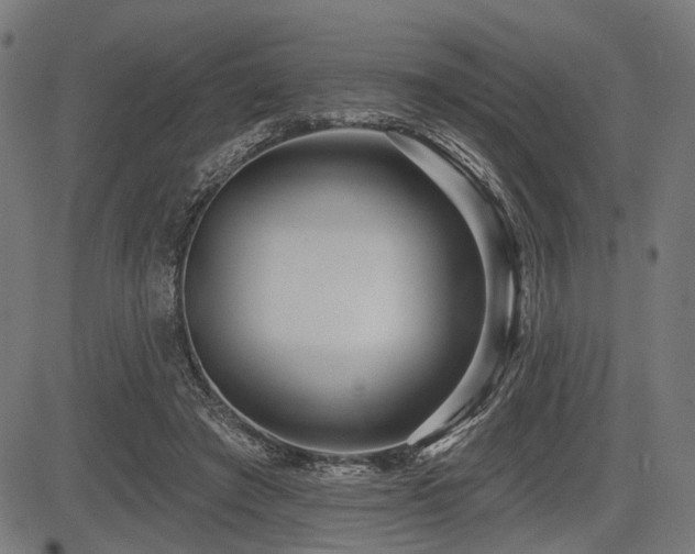 X0000083610401200702121120