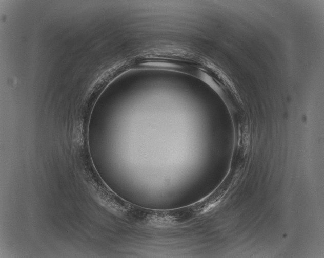 X0000083610403200702121120