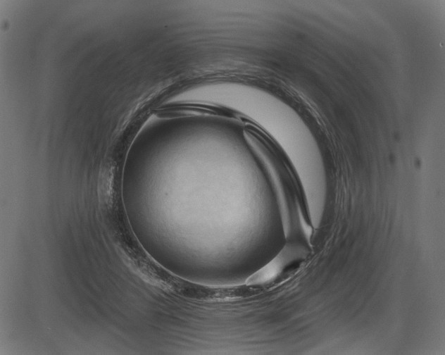 X0000083610404200702121120