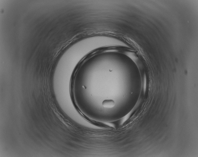 X0000083610405200702121120