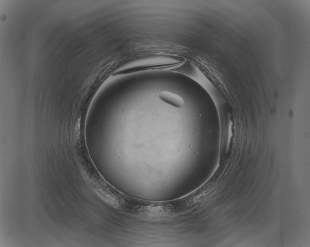 X0000083610406200702121120