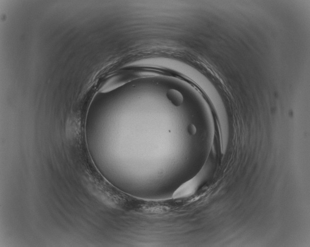 X0000083610407200702121120